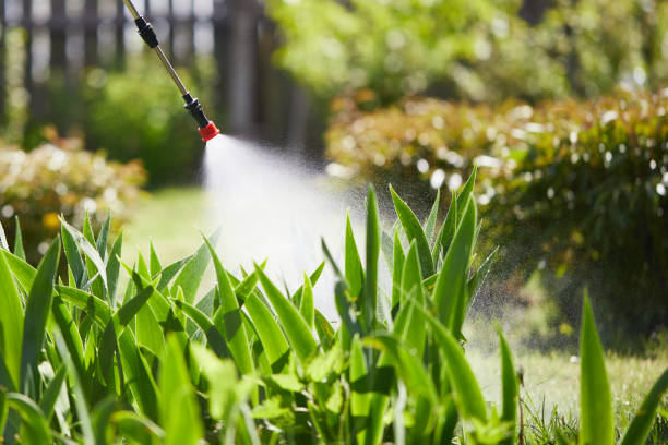 24/7 Emergency Mosquito Control experts in Strawberry Plains, TN