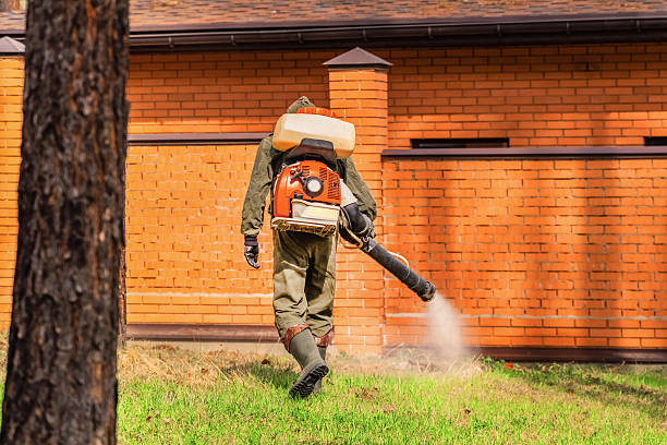 Top rated local Mosquito Control specialists in Strawberry Plains, TN